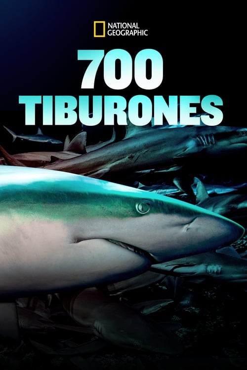 thumb 700 Tiburones