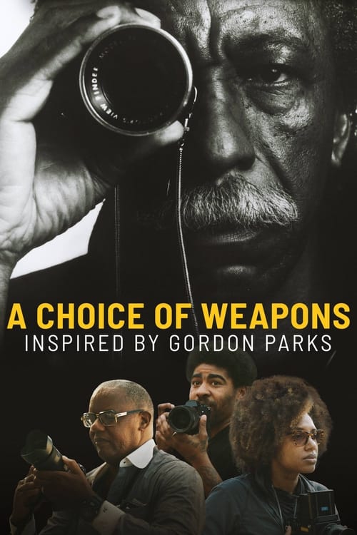 thumb A Choice of Weapons: Inspired by Gordon Parks