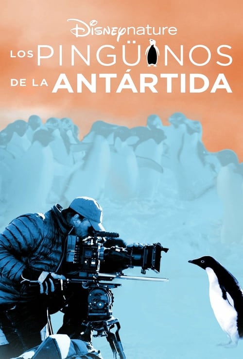 thumb Los pingüinos de la Antártida